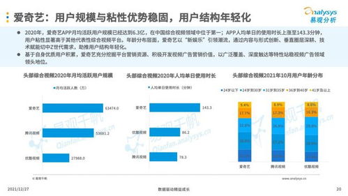 互聯(lián)網(wǎng)廣告營銷 企業(yè)數(shù)字時(shí)代的必備技能