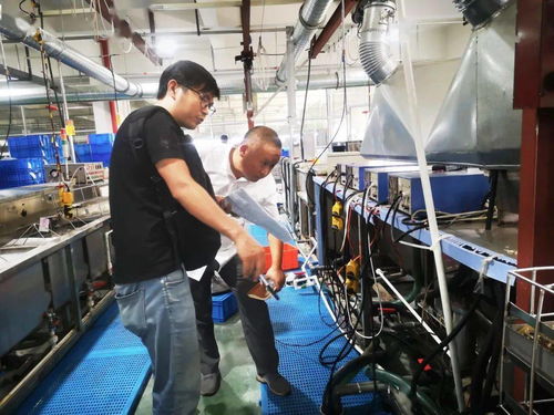 規范廠中廠服務小微園，樂清翁垟街道繃緊企業生產安全弦